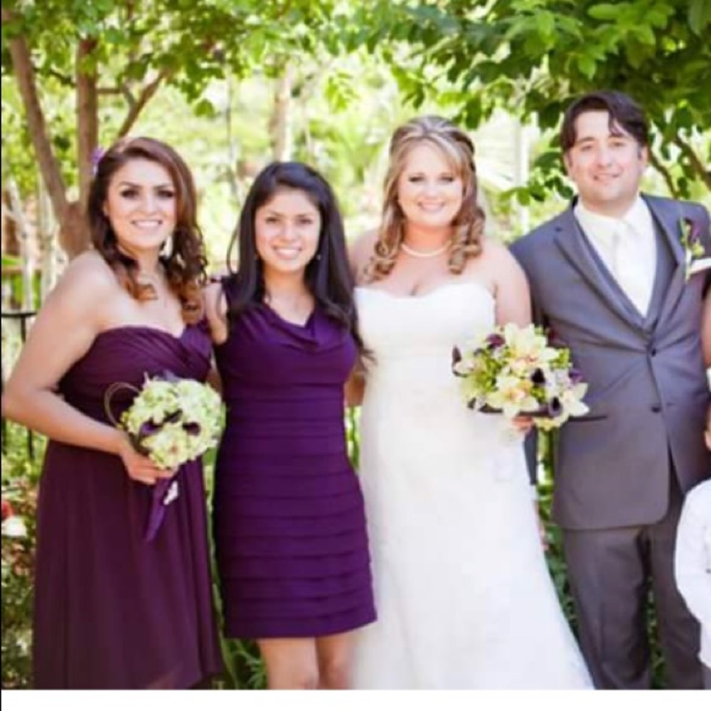 American Living plum Dress